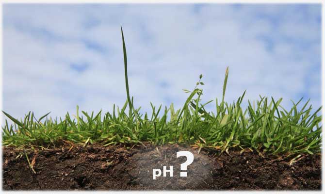 soil-acidity-1